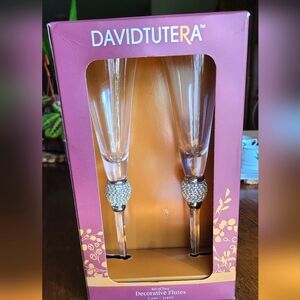Glass Flutes Silver Rim Set of 2 David Tutera Decorative